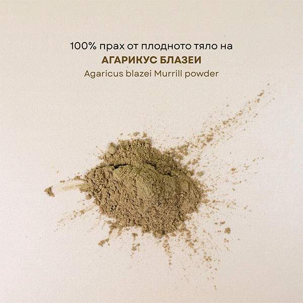 АГАРИКУС БЛАЗЕИ ПРАХ от плодното тяло на лекарствената гъба