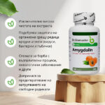 Др. БИОМАСТЕР Амигдалин / Витамин Б17 от Dr. Biomaster - ползи