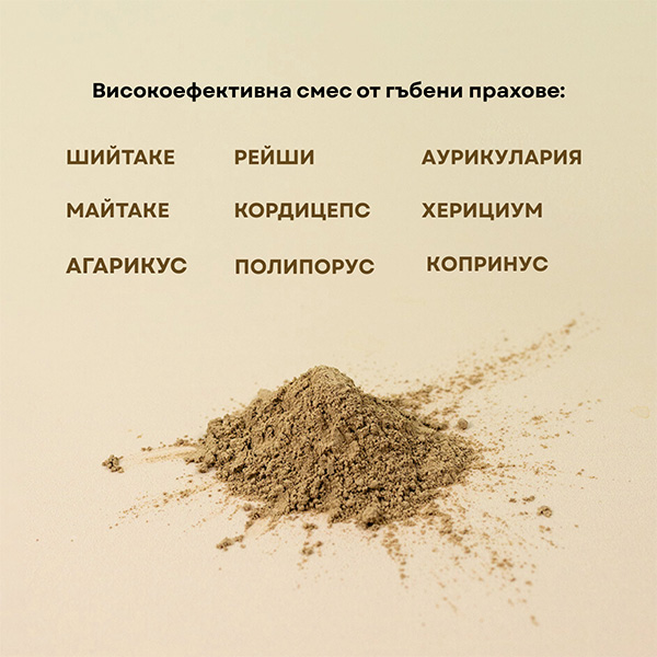 НАЙ-ДОБРАТА СМЕС ОТ ГЪБЕНИ ПРАХОВЕ с 9 лекарствени гъби, 100 g