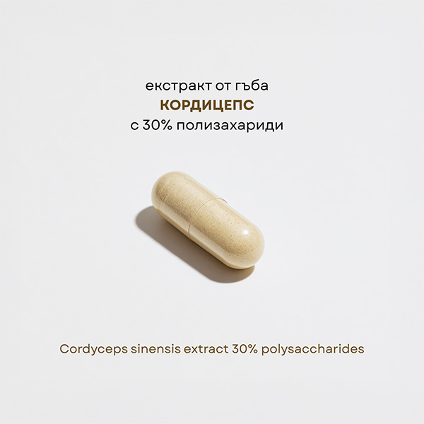 КОРДИЦЕПС ЕКСТРАКТ 30% ПОЛИЗАХАРИДИ екстракт от лекарствената гъба
