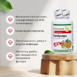 КОРДИЦЕПС ЕКСТРАКТ 30% ПОЛИЗАХАРИДИ от Dr. Biomaster - ползи