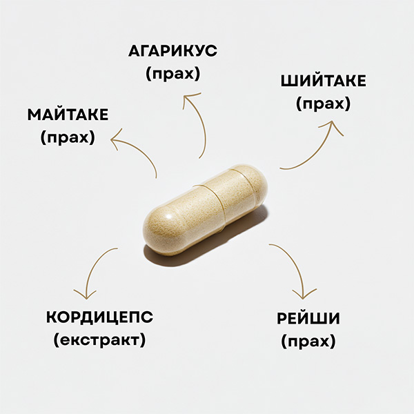 Имунитет 365 - продукт с лекарствени гъби за укрепване на имунитета
