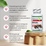 Ползи от Майтаке екстракт капсули на Dr. Biomaster