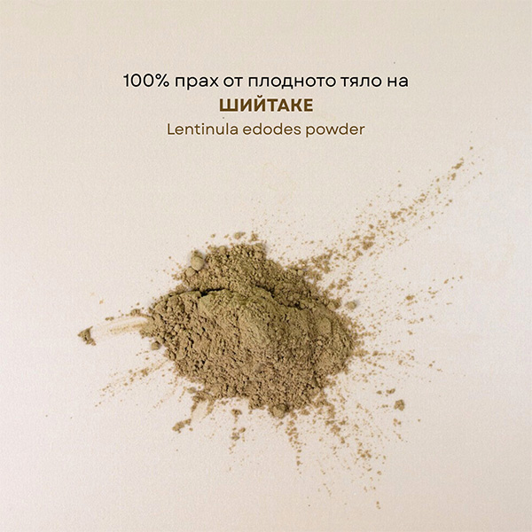 ШИЙТАКЕ ПРАХ от плодното тяло на лекарствената гъба