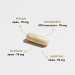 ЯМАКИРО+ - смес от прахове от плодното тяло на лекарствени гъби