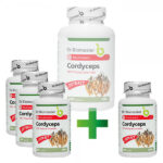 КОРДИЦЕПС (Cordyceps sinensis) – екстракт от лекарствена гъба с 30% полизахариди, 240 капсули / 300 mg