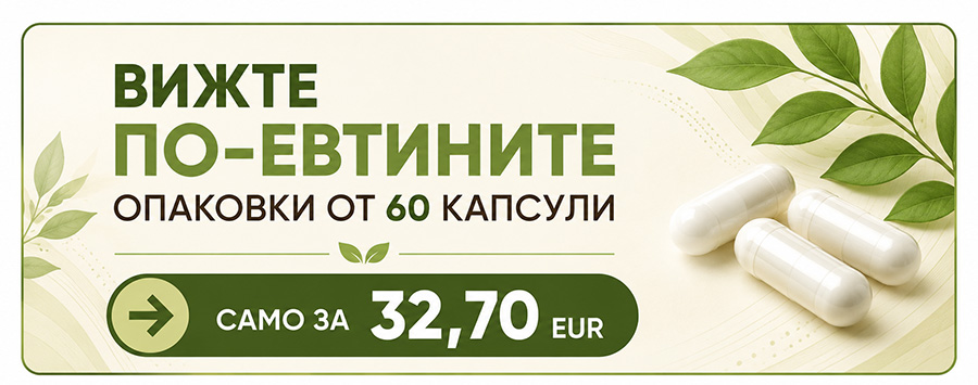 Лечебни гъби екстракт - 60 капсули