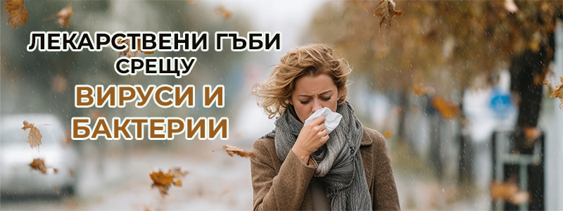 Протективното действие на лекарствените гъби при вирусни инфекции