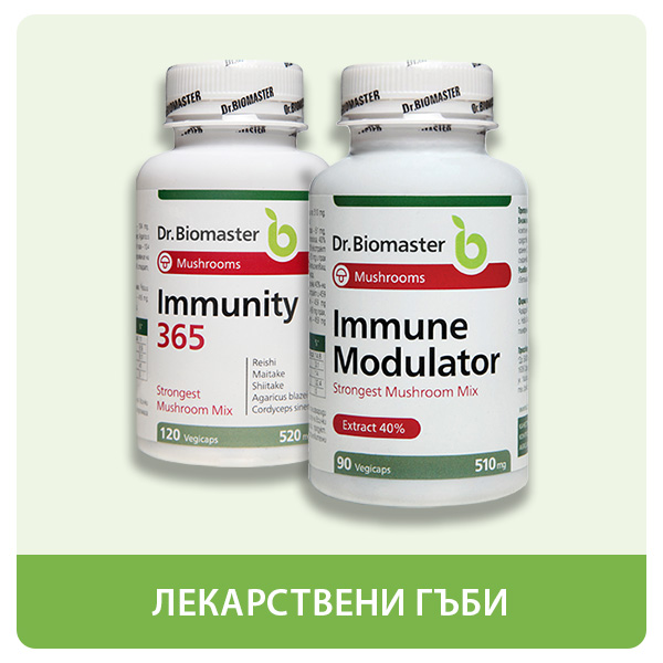 Лекарствени гъби