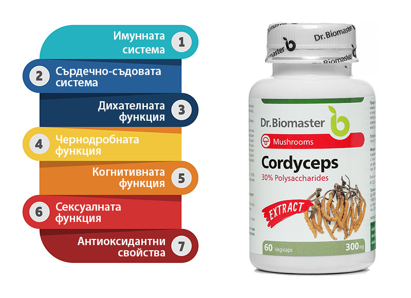 Лечебна гъба Кордицепс екстракт 30% полизахариди 60 капсули - Dr. Biomaster