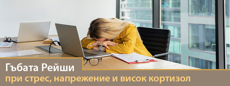 Гъбата Рейши при стрес, напрежение и висок кортизол
