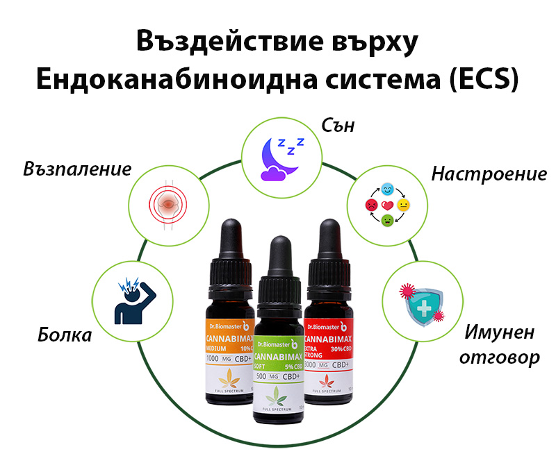 CBD и ендоканабиноидната система при спортисти
