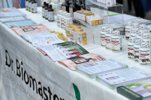 Фестивал „Здравей, здраве“ - Стара Загора - снимка 2