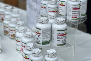 Фестивал „Здравей, здраве“ - Стара Загора - снимка 3