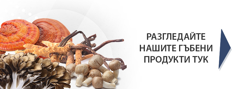 Купете продукти с лекарствени гъби от Доктор Биомастер на топ цена