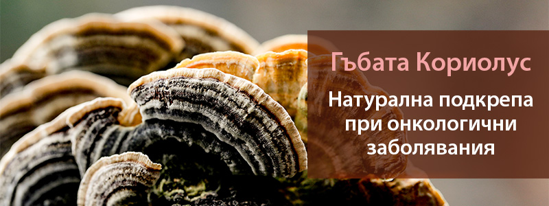 Гъба Кориолус екстракт при ЧПВ и онкологични състояния