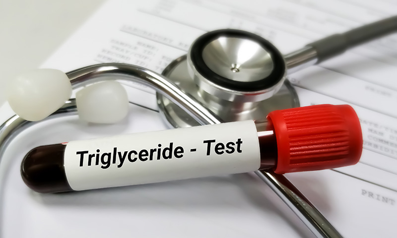 Консумацията на гъби е спомогнала за намаляване на триглицеридите и холестерола