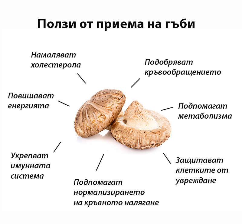 Ползи от приема на гъби