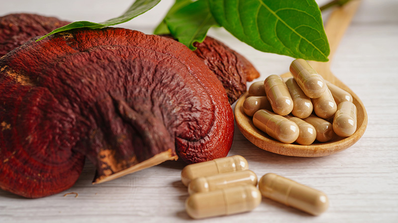 Рейши (Ganoderma lucidum) регулира липидния профил и понижава възпалението