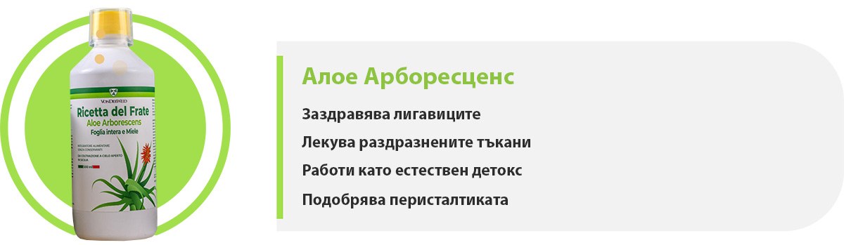 Алое Арборесценс част от пакет „Храносмилателна система“