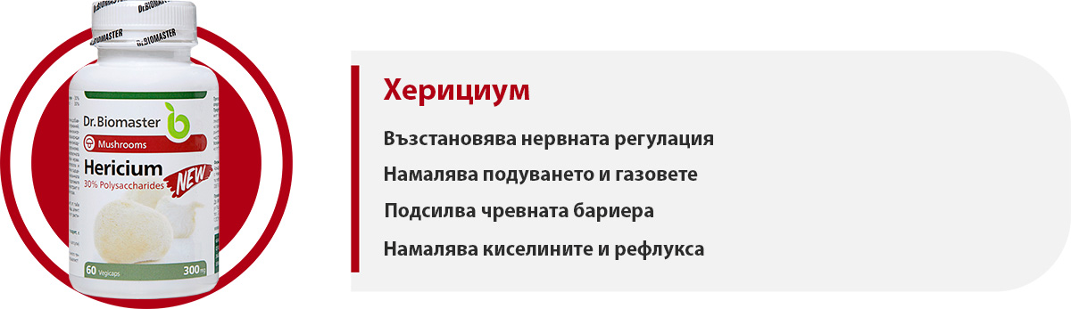 Херициум част от пакет „Храносмилателна система“