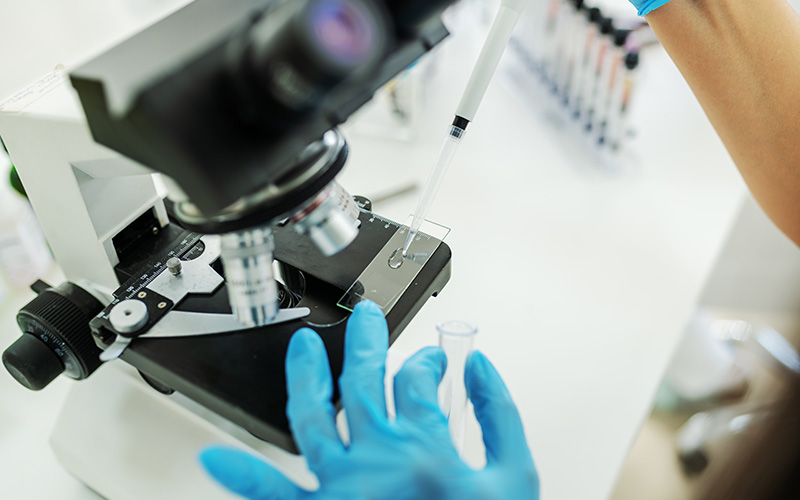 Изследване на действието на мешима при рак