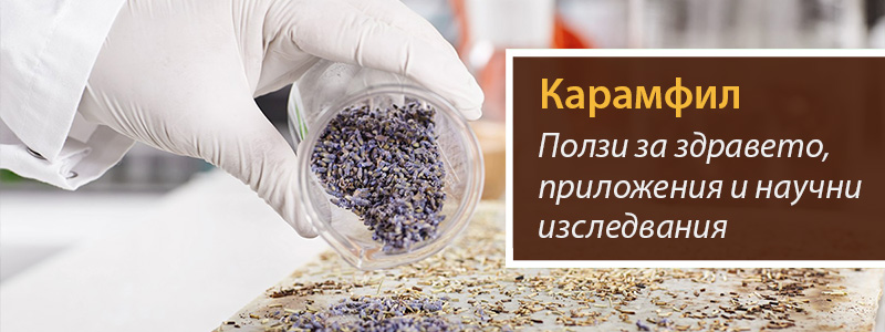 Карамфил: Ползи за здравето, приложения и научни изследвания