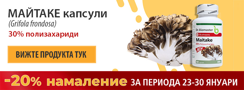 Майтаке – подкрепа за имунната система и противотуморен потенциал