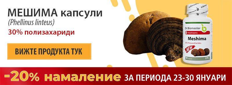 Мешима – традиционна гъба с данни за антитуморна активност