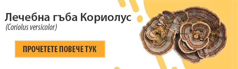 Лечебната гъба Кориолус и HPV – научно обоснована имунна подкрепа