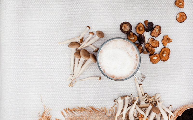 Гъбено кафе или кафе с гъбен прах