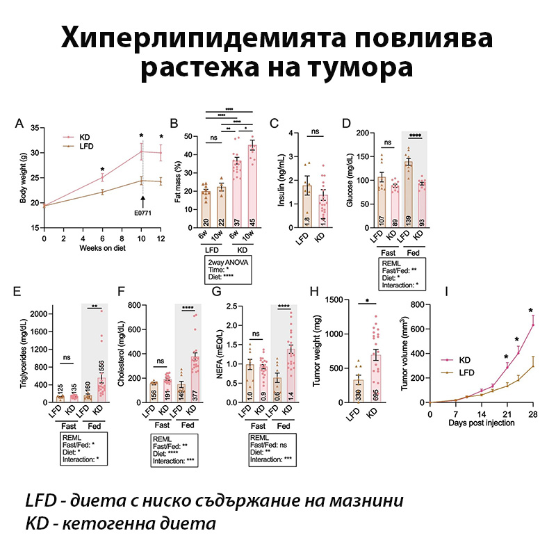 Хиперлипидемията повлиява растежа на тумора при рак на гърдата