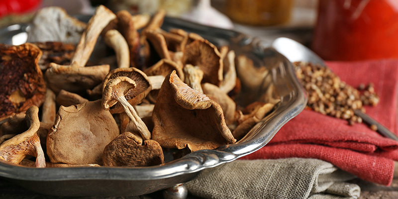 Лекарствени гъби - древна традиция