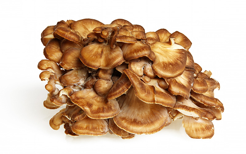 Майтаке - повлиява нивата на липиди при рак на гърдата