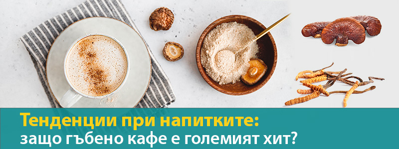 Тенденции при напитките: защо гъбено кафе е големият хит?