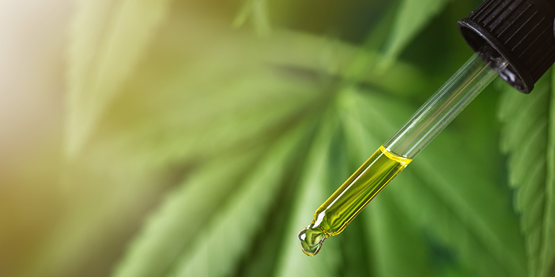 Могат ли активните вещества от конопа - CBD и CBG - да предотвратят омазняване на черния дроб?