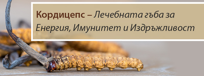 Кордицепс – Лечебната гъба за Енергия, Имунитет и Издръжливост
