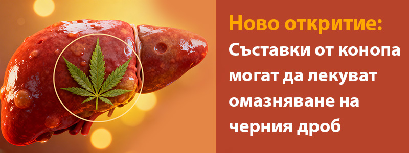Ново откритие: Съставки от конопа могат да лекуват омазняване на черния дроб