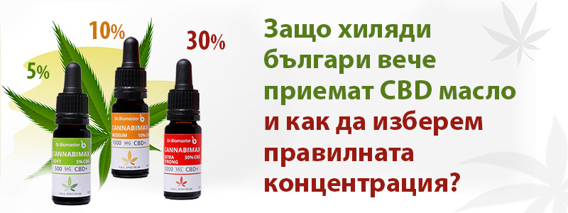 Защо хиляди българи вече приемат CBD масло — и как да изберем правилната концентрация?
