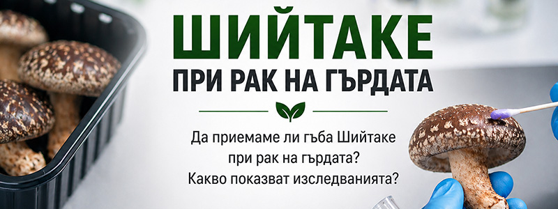 Шийтаке при рак на гърдата