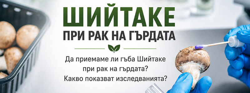 Шийтаке при рак на гърдата