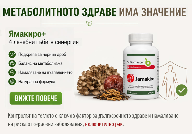 Ямакиро на Dr. Biomaster при затлъстяване и рак
