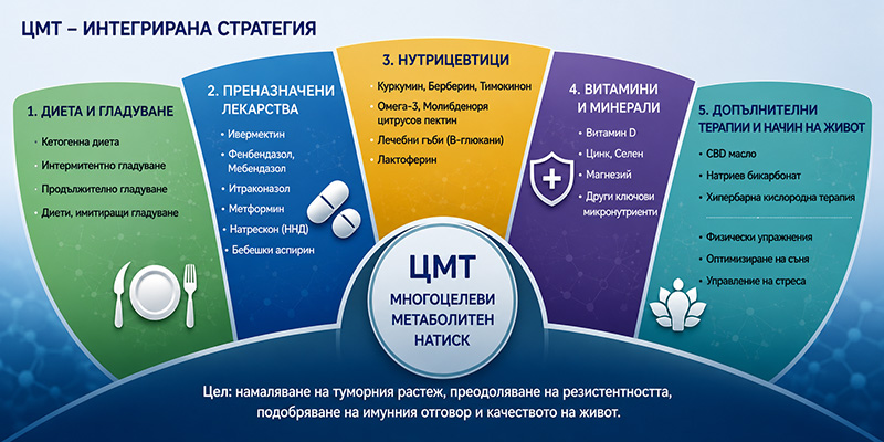 CMT интегрирана стратегия