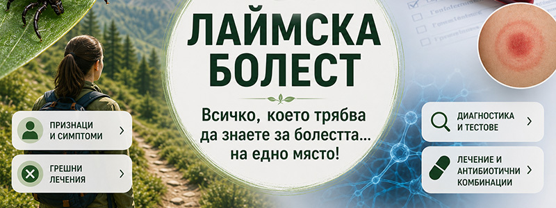 Лаймска болест: Всичко, което трябва да знаете за болестта – на едно място!