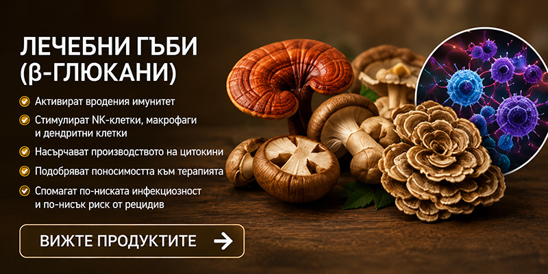 Лечебни гъби от Dr. Biomaster при ЦМТ