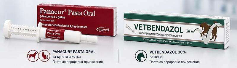 Фенбендазол във ветеринарни препарати – може ли да се приема от хора