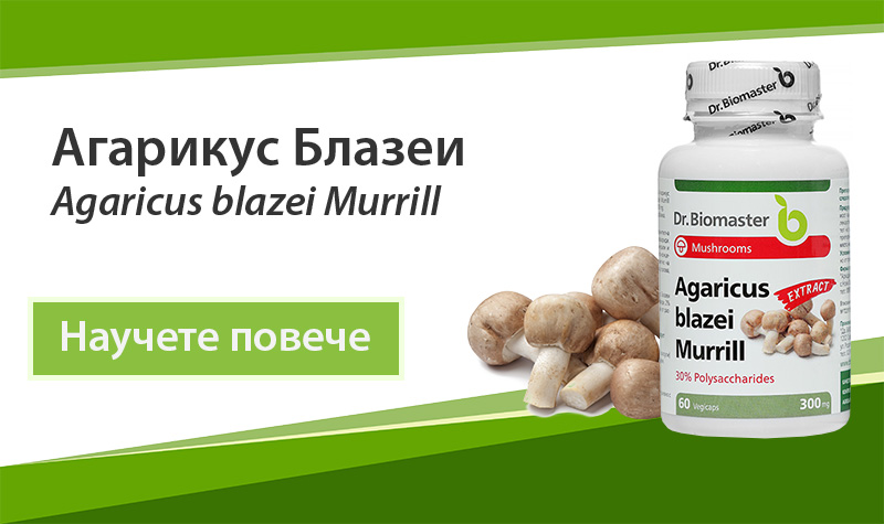 Екстракт от лечебна гъба Агарикус Блазеи (Agaricus blazei Murrill) 30% на Dr. Biomaster