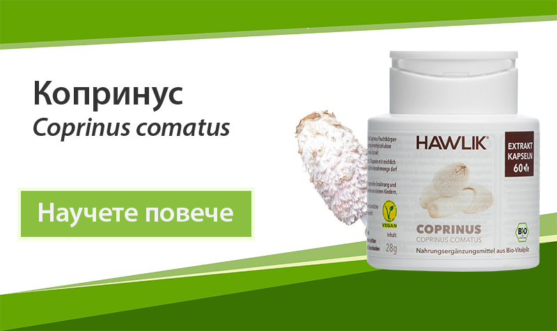 Екстракти от лечебни гъби Копринус (Coprinus comatus) 30% на Dr. Biomaster