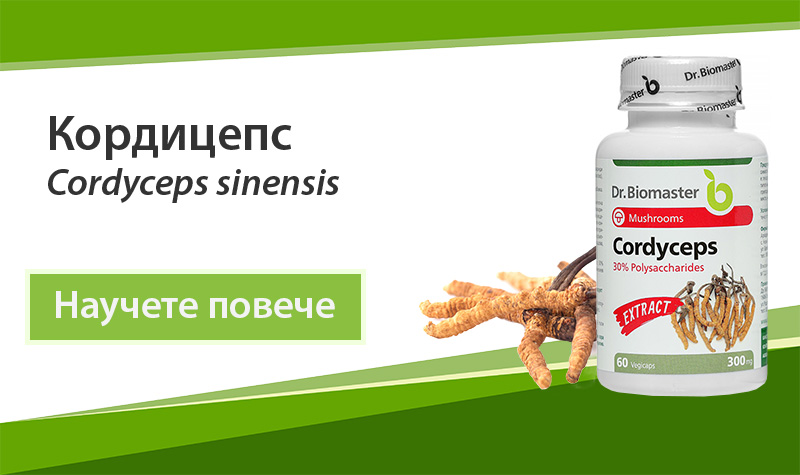 Екстракт от лечебна гъба Кордицепс (Cordyceps sinensis) 30% на Dr. Biomaster