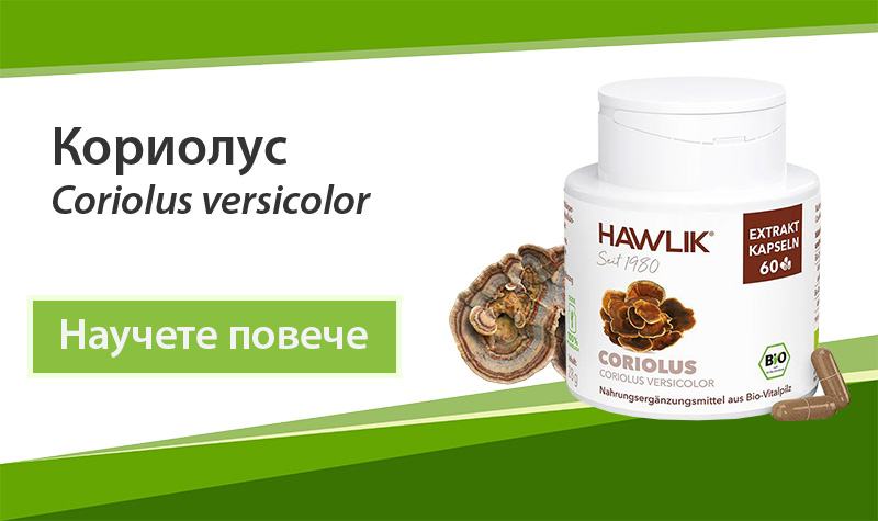 Екстракти от лечебни гъби Кориолус (Coriolus versicolor) 30% на Dr. Biomaster